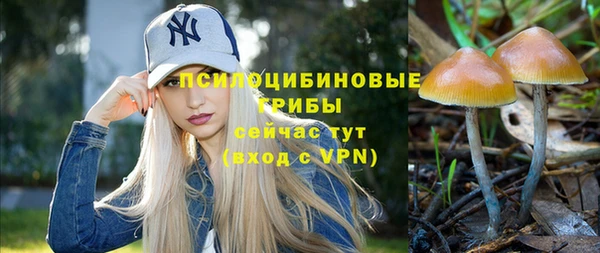 хмурый Коряжма
