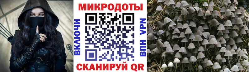 Галлюциногенные грибы мицелий  Купить  Лермонтов 